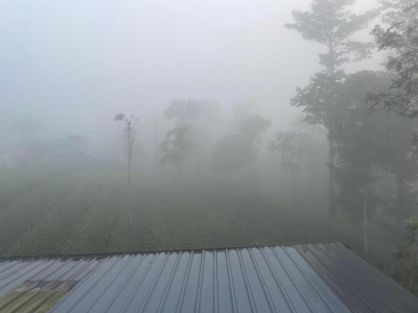 Best Mist 伊都基 外观 照片